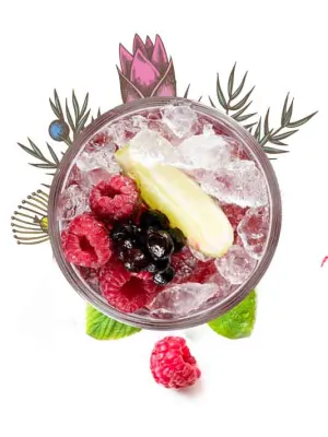 Dry Raspberry Gin - 32%