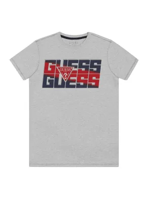 Grey Graphic Double Logo T-Shirt (7-16)