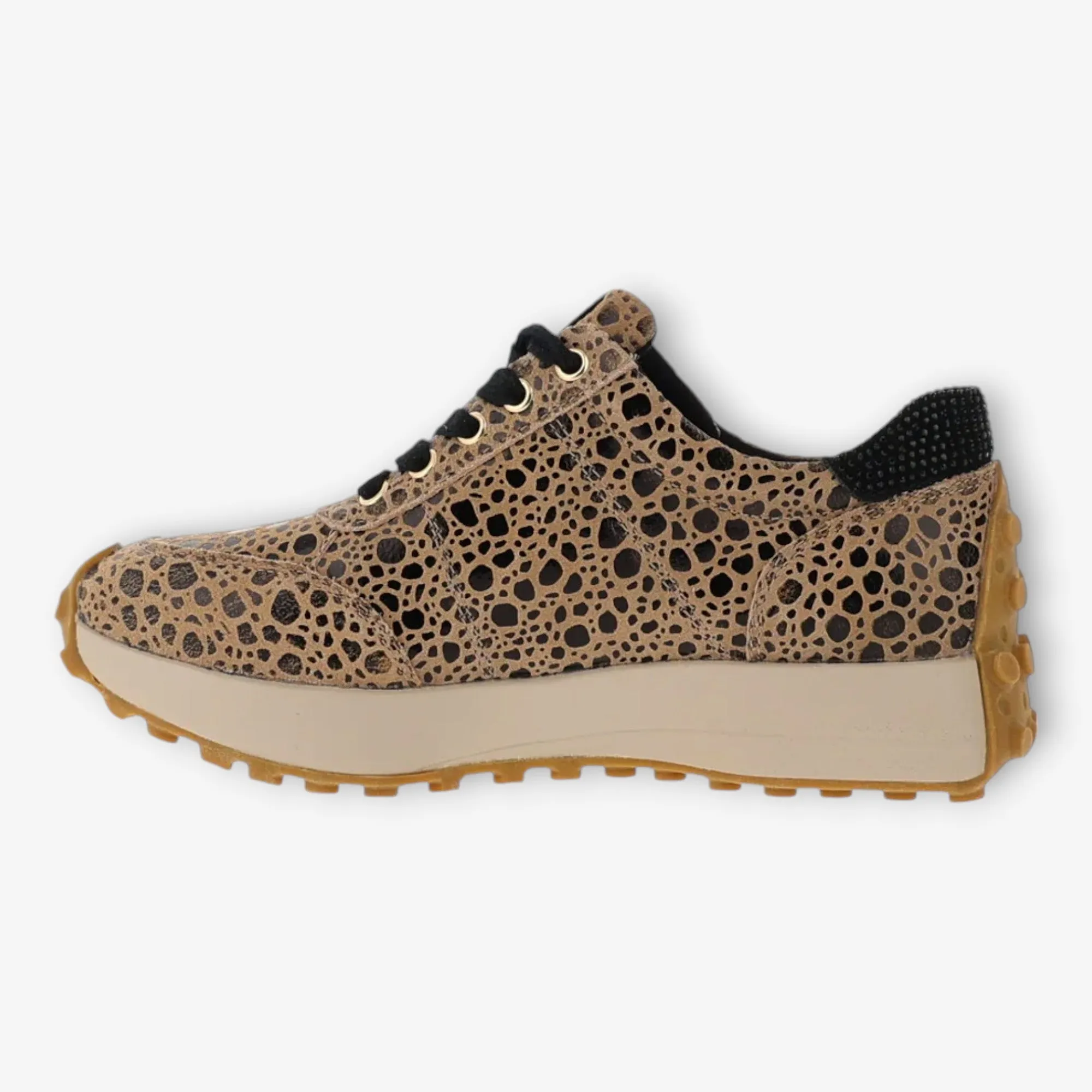 Kate Appleby Animal Print Runner with Gum Sole and Leather Insole