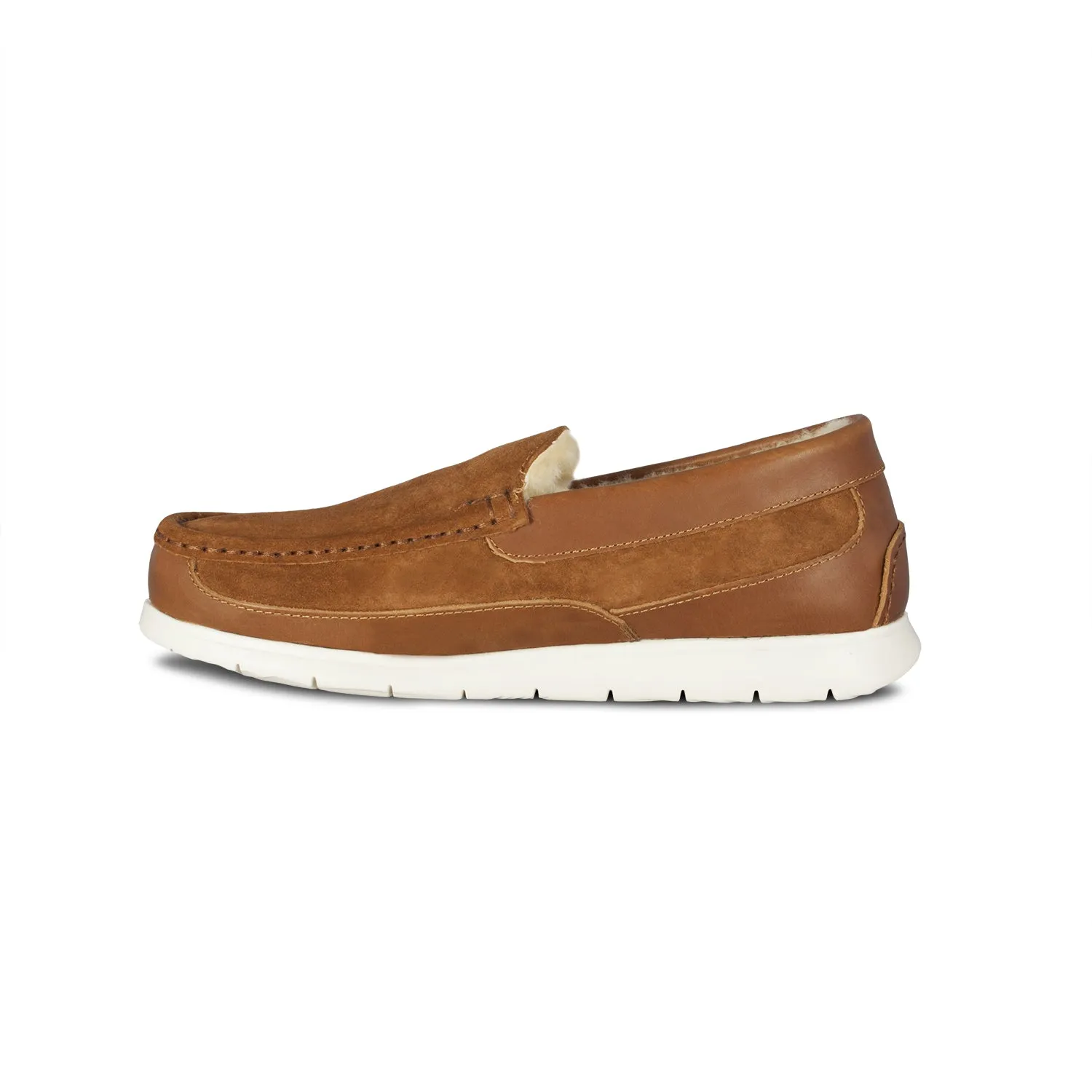 Men's Sheepskin Shipley Shoe