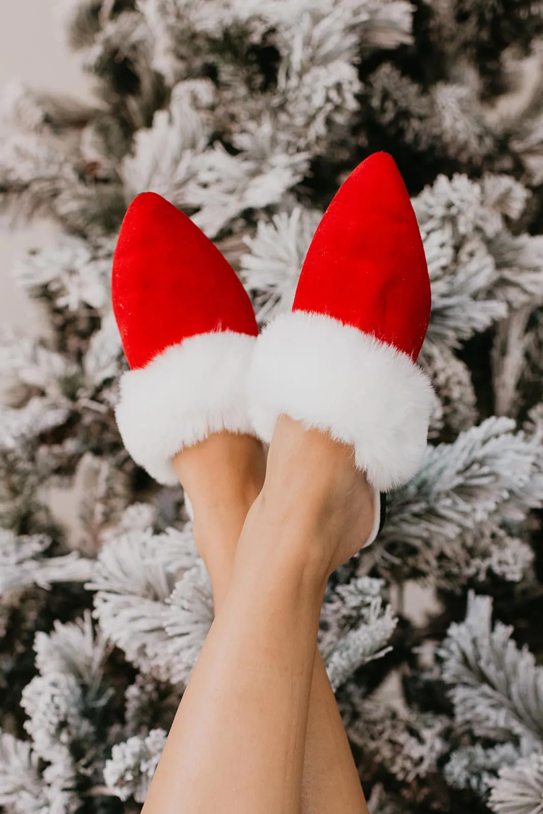 Santa Baby Slippers